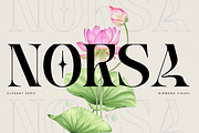 Fashion Norsa - Modern Branding Logo, a Serif Font by Nirmana Visual (Thumbnail 1 of 10)
