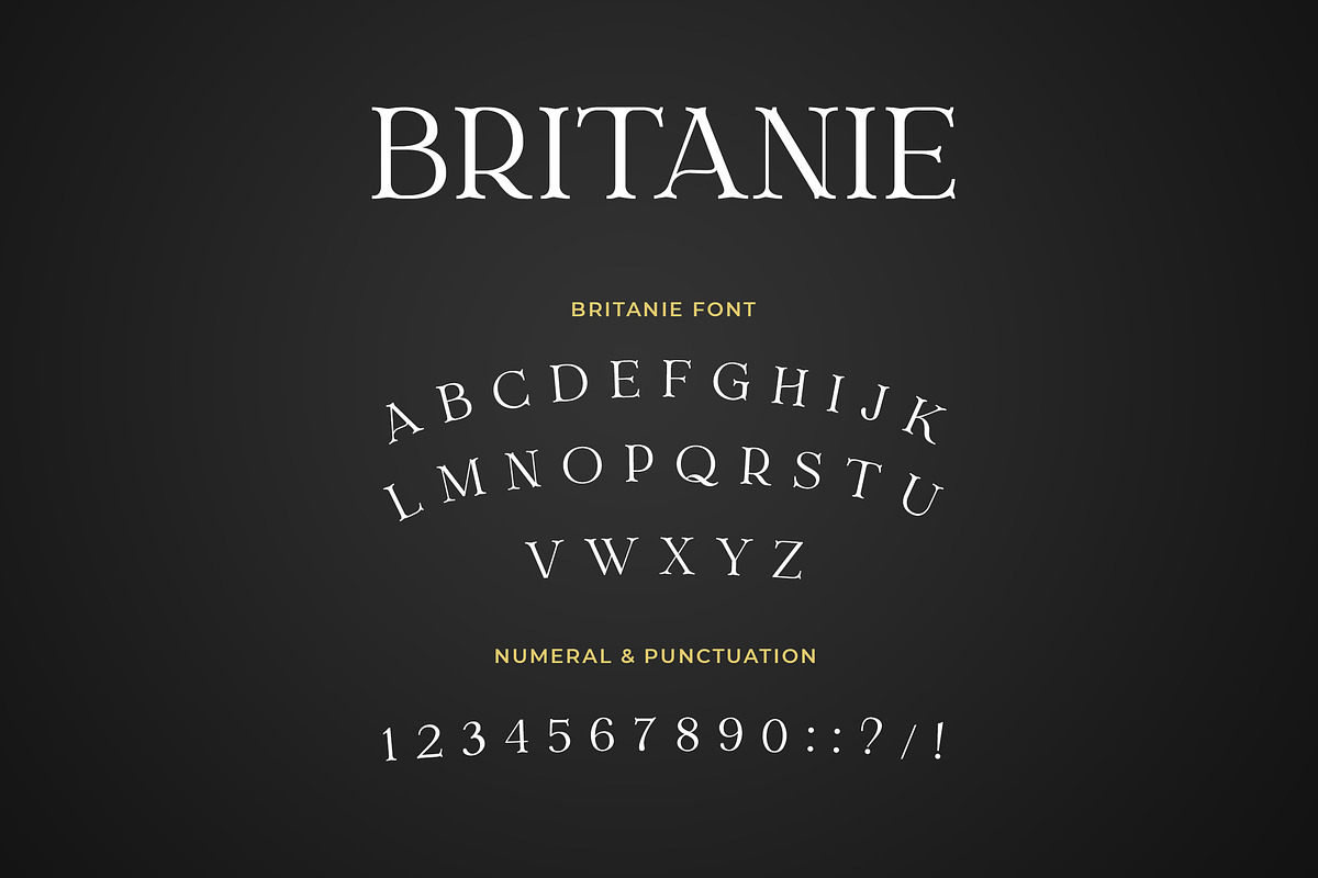BRITANIE Vectorian Serif Font preview 5