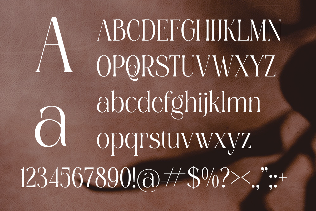 Shine Heels - Elegant Beauty Serif, a Serif Font by Qweera Studio (Photo 11 of 12)