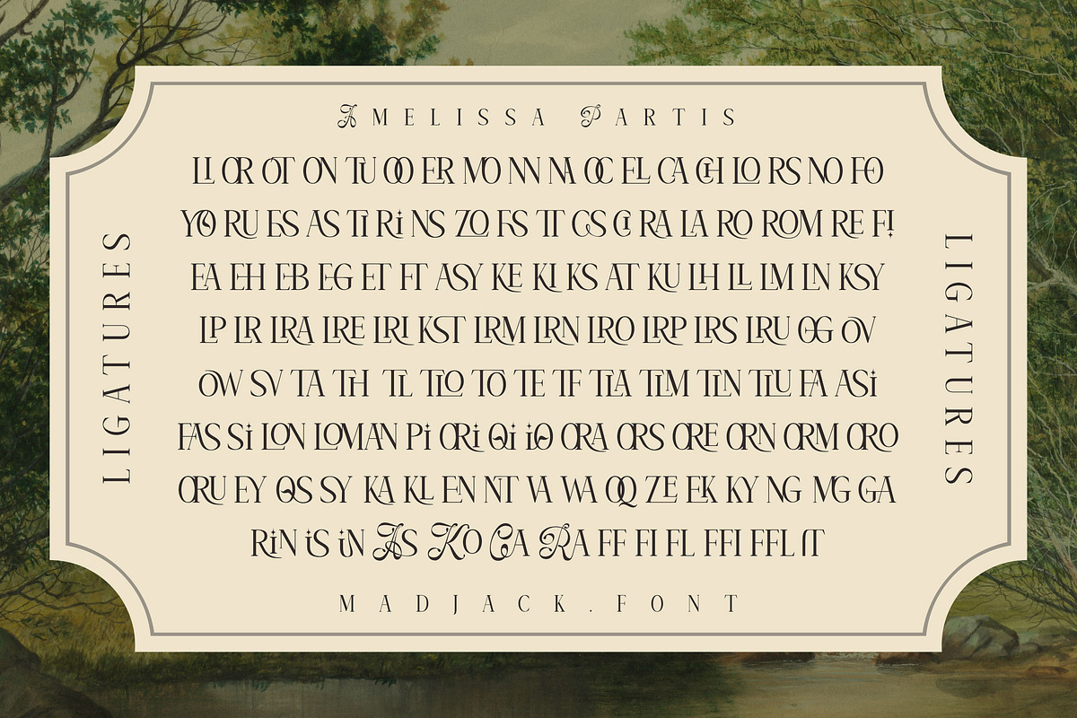 Amelissa Partis, a Serif Font by Madjack.font (Photo 4 of 11)