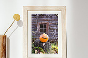 15 Rustic Autumn Stock Photos, a Holiday Photo by pictures for you (Thumbnail 12 of 14)
