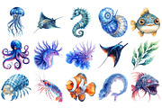 Bioluminescent Sea Animal Clipart, an Illustration by Craft Nest (Thumbnail 3 of 4)