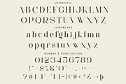 Faiten - Modern Serif Font, a Serif Font by Aqeel_Art (Thumbnail 10 of 12)