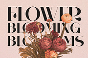 Karome Elegant & Unique Serif Font, a Serif Font by Perfectype (Thumbnail 2 of 7)
