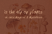 Baycat Handwritten Font, a Font by SSI.Scraps (Thumbnail 3 of 5)