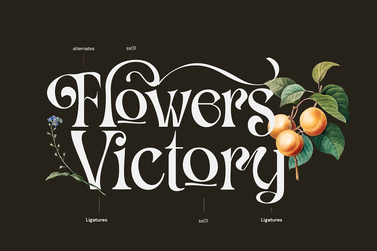Fd Parfume Serif Font + Swashes, a Serif Font by Fortunes Co (Photo 2 of 12)