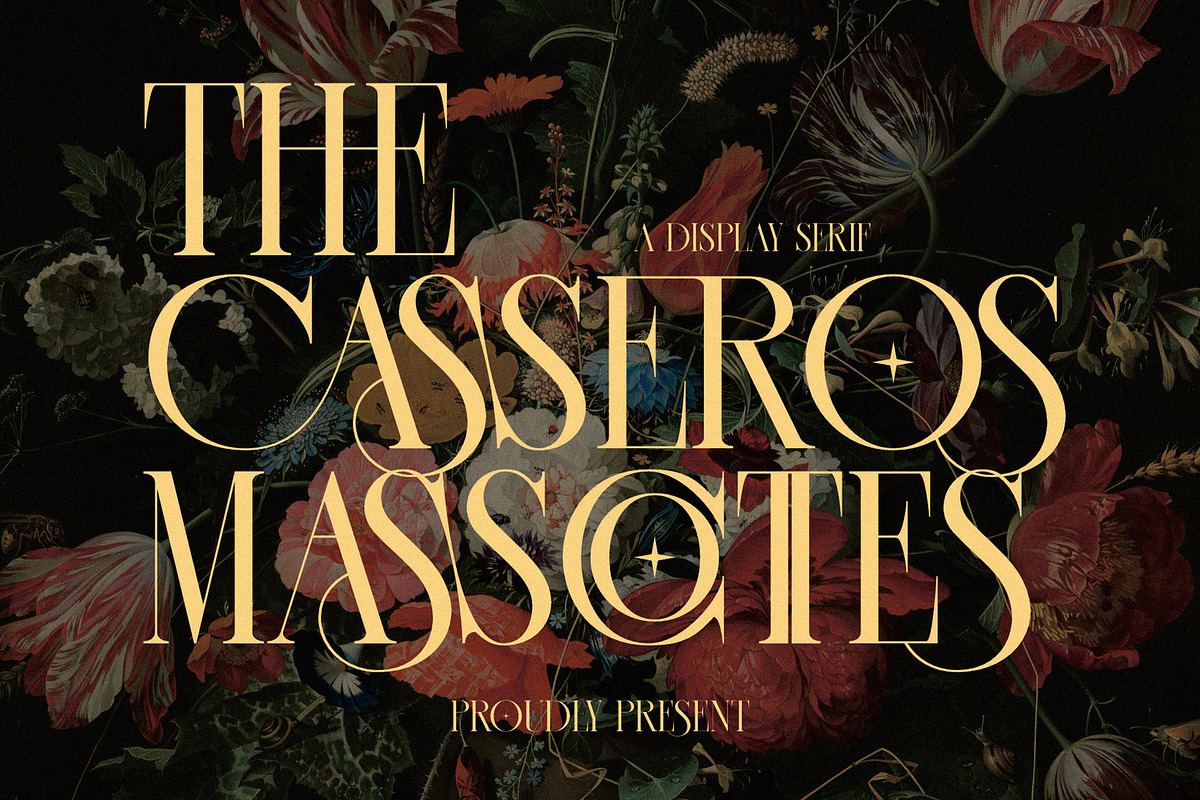 CASSEROS MASSCOTTES Elegant Serif, a Serif Font by Alfinart (Photo 11 of 11)