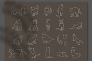 Mystical Cats. Lunar & celestial set, an Object Graphic by Sofico (Thumbnail 16 of 17)