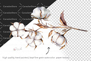 Cotton Watercolor Clipart, an Object Illustration by CaraulanStore (Thumbnail 2 of 17)