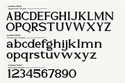 Lutoria Serif, a Serif Font by Muksal Creative (Thumbnail 9 of 10)
