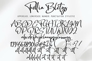 Fellin Blettys, a Script Font by pineungtype (Thumbnail 8 of 8)