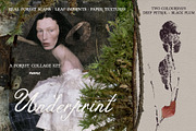 Leaf Imprints, Forest Scans & Paper, an Object Graphic by Purple (Thumbnail 20 of 20)