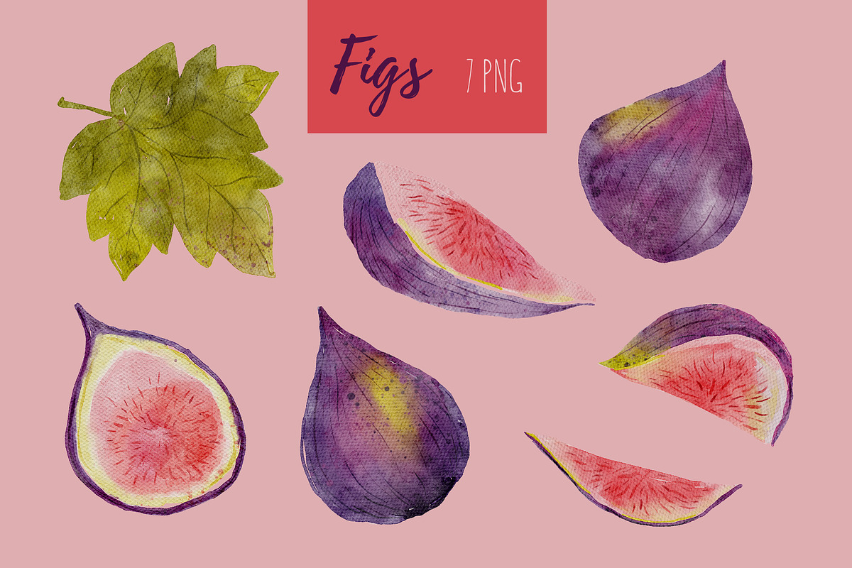 Watercolor Figs Clipart & Pattern, a Pattern Graphic by OkPen (Photo 2 of 4)