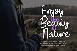 Festival - Brush Handwritten Font