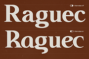 GC Neue Benfica – Classic Serif, a Sans Serif Font by Glyphonic (Thumbnail 4 of 15)