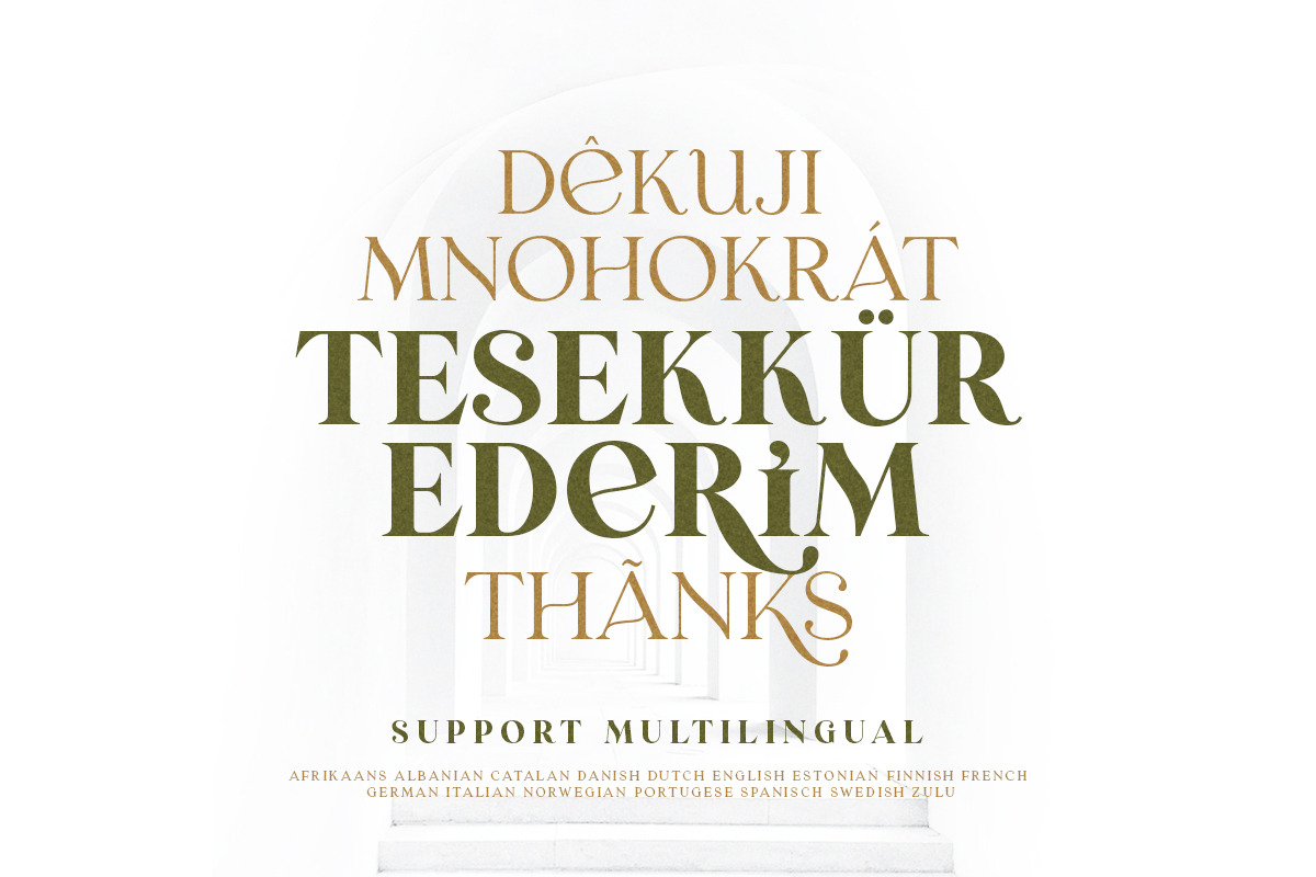 Laginchy Serif - (Regular & Bold), a Serif Font by Sarid Ezra (Photo 4 of 5)