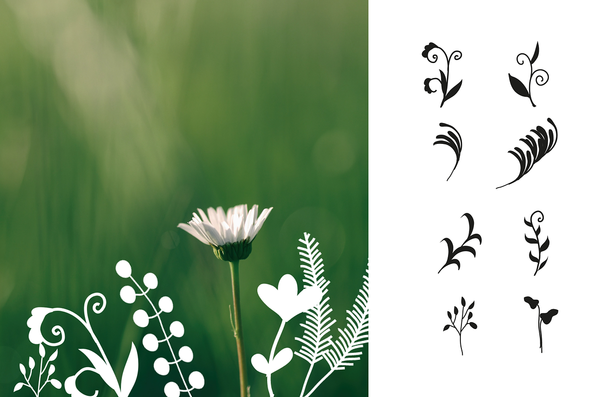 101 Procreate Leaves Stamp Brushes, a Brush Add-On by Masherdraws (Photo 3 of 8)