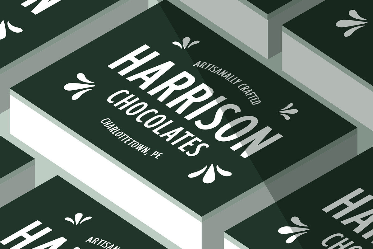 Fellbaum Grotesk Full, a Sans Serif Font by Vintage Type Company (Photo 9 of 16)