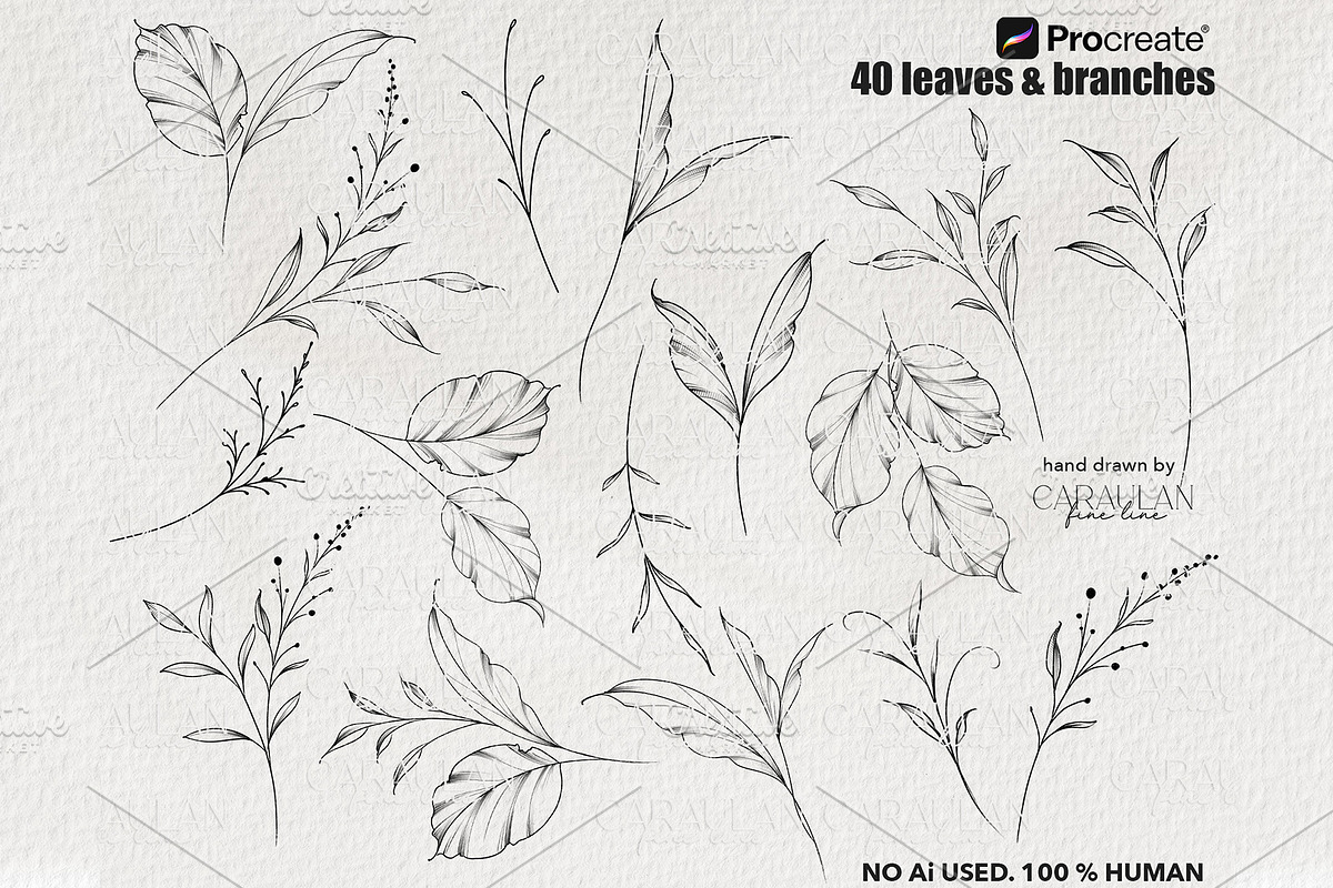 Leaves & Branches Fine Line Stamps, a Brush Add-On by CaraulanStore (Photo 2 of 7)