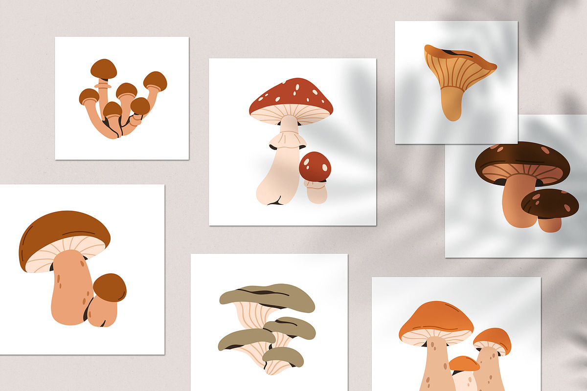 Autumn mushrooms, forest fungi set, a Food Illustration by Good Studio (Photo 6 of 6)