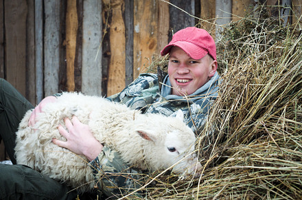 A big lamb in the arms