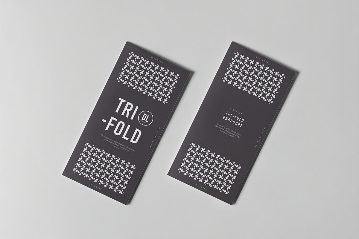 Tri-Fold DL Brochure Mock-up, an Advertising Mockup by zippypixelstudio (Photo 7 of 11)