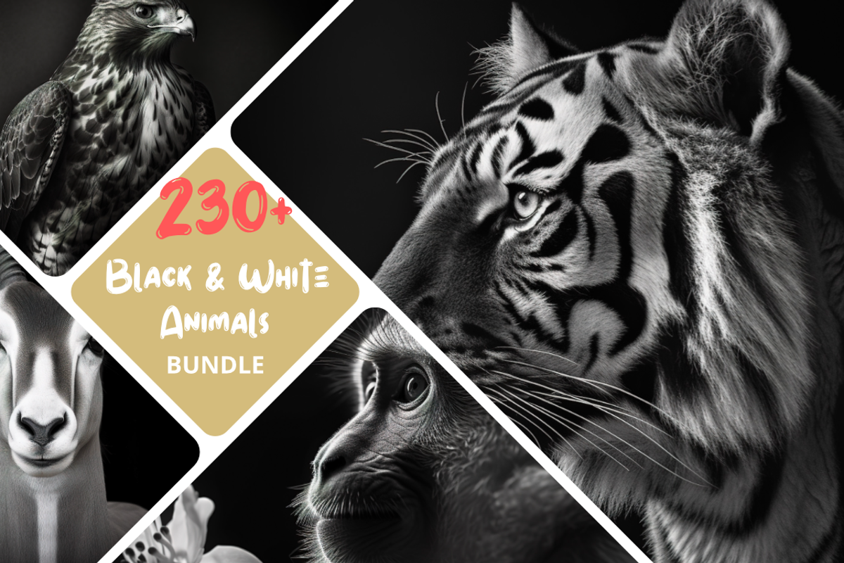 230+ Black & white animals Bundle, an Animal Photo by Virgo Studio (Photo 1 of 6)