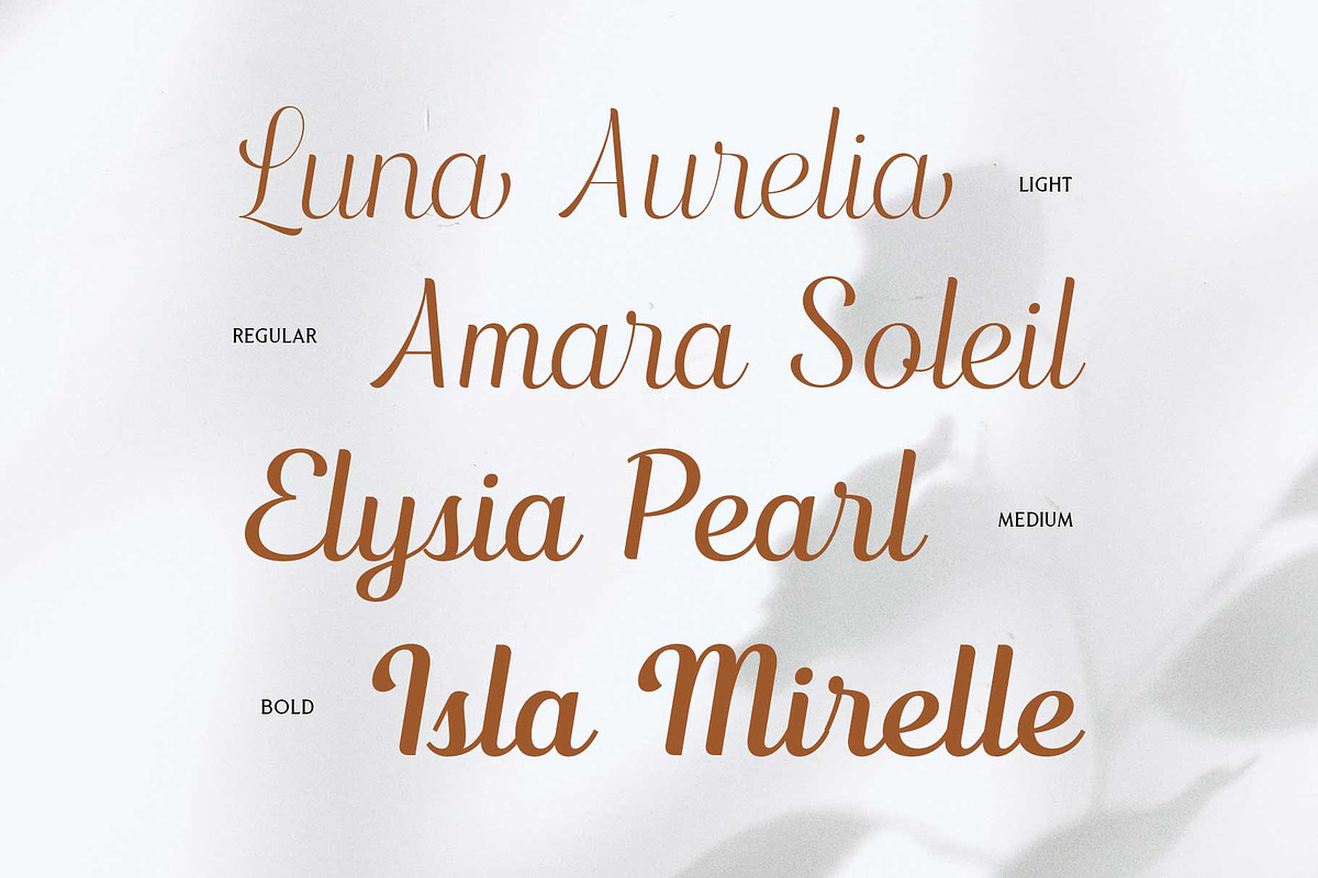 Nadlines - Script Family, a Script Font by Novitype (Photo 4 of 13)