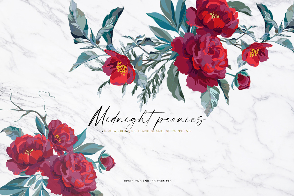 Dark red peonies, an Illustration by Vasmila (Photo 1 of 10)
