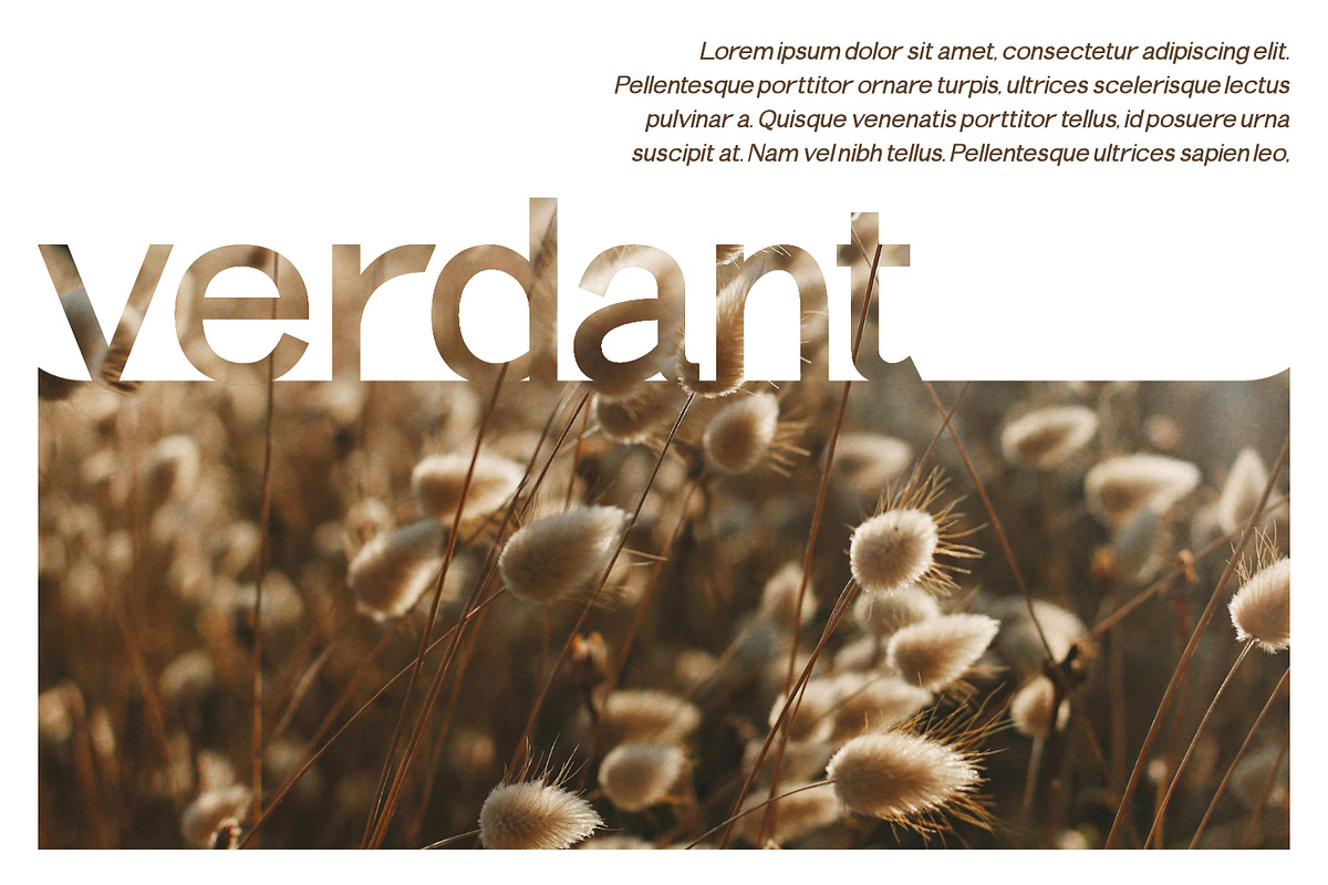 Elemendy, a Sans Serif Font by Rishsketch (Photo 4 of 12)