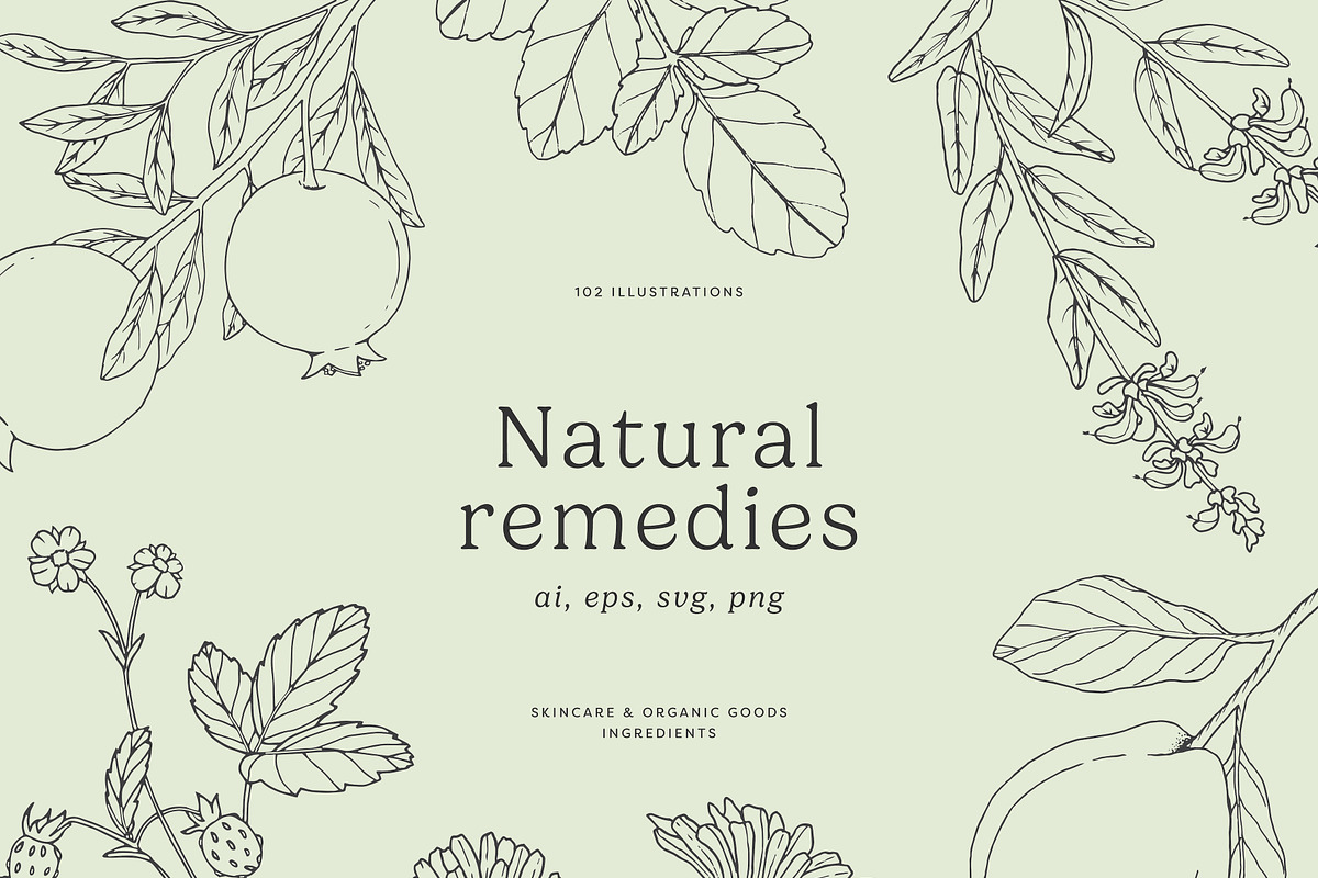 1500+ All Illustrations Bundle, a Decorative Illustration by Crocus Paperi (Photo 8 of 25)