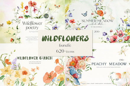 Wildflower illustration bundle, a Decorative Illustration by Yuliya Derbisheva