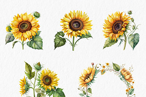 Sunflowers Watercolor Clipart PNG