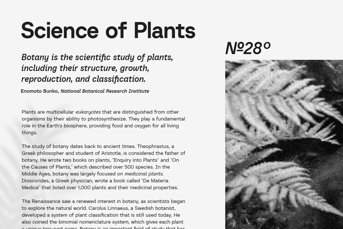 Baru Sans Geometric Font Family, a Sans Serif Font by Kereatype (Photo 16 of 19)