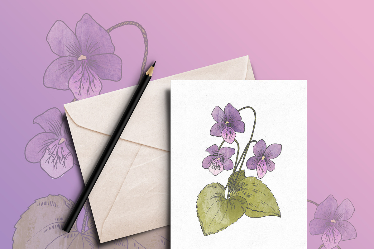 Hand Drawn Edible Flowers, an Illustration by MyNatureGraphics (Photo 3 of 3)