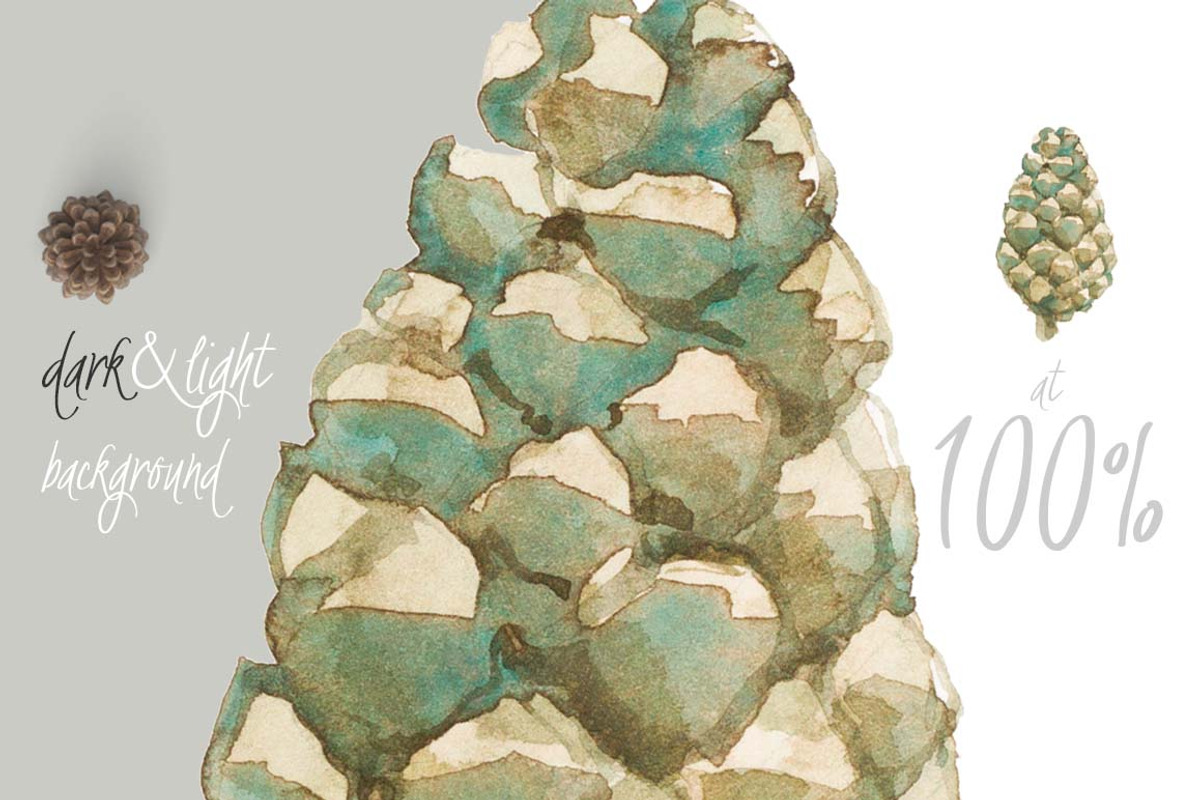 0101 Winter White, a Work Illustration by watercolorwild.graphics (Photo 7 of 10)