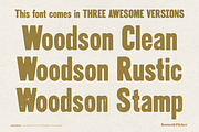 Woodson - A Wood Type Style Font, a Font by Komet & Flicker (Thumbnail 14 of 15)