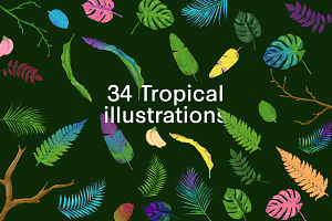 Colorful Tropical Summer Design Set