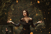 135 Glitter Overlays, a Brushes & More by HappyNews (Thumbnail 5 of 9)
