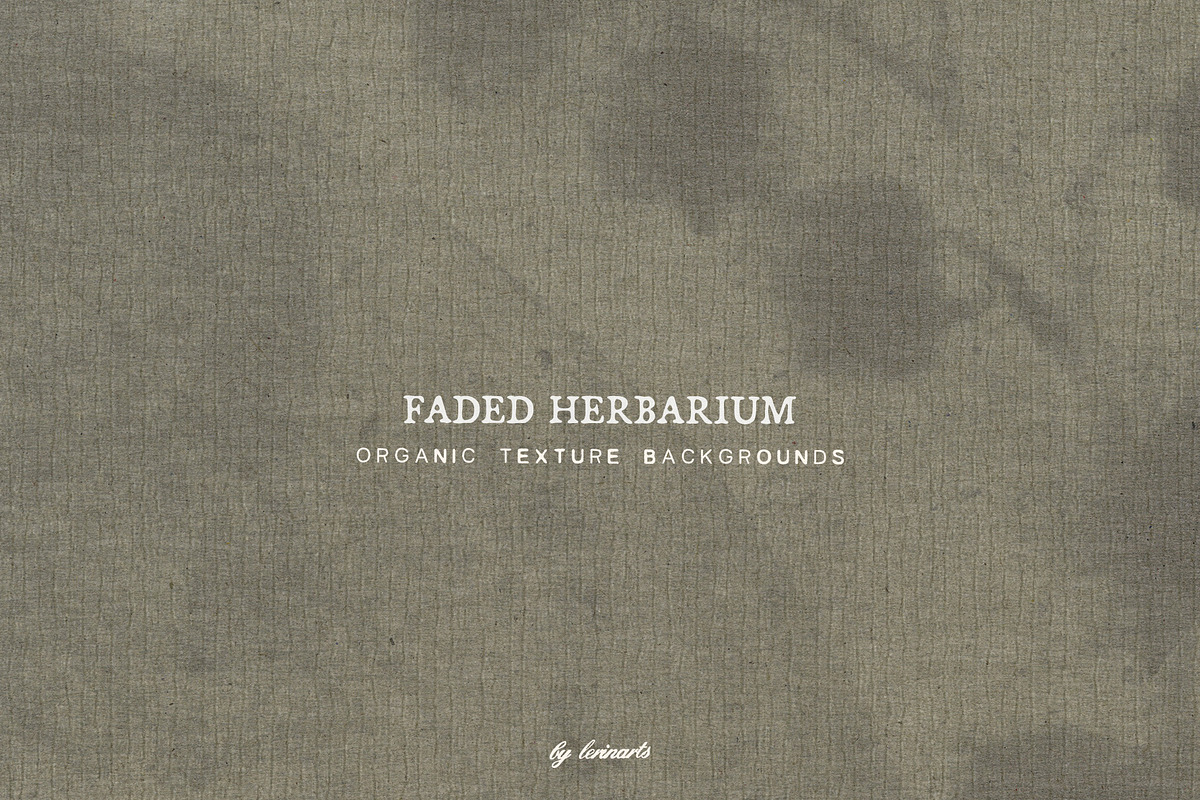 Faded Herbarium: Texture Backgrounds, a Texture Graphic by lerinartstudio (Photo 13 of 13)