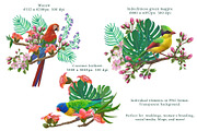 Exotic birds seamless pattern, a Pattern Graphic by Alena Lazareva (Thumbnail 4 of 9)