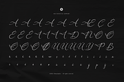 Balinesty | Modern Calligraphy, a Script Font by Denustudios (Thumbnail 12 of 12)