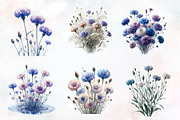 Bachelor Buttons Flower Cliparts, an Illustration by RobertsArt (Thumbnail 4 of 7)