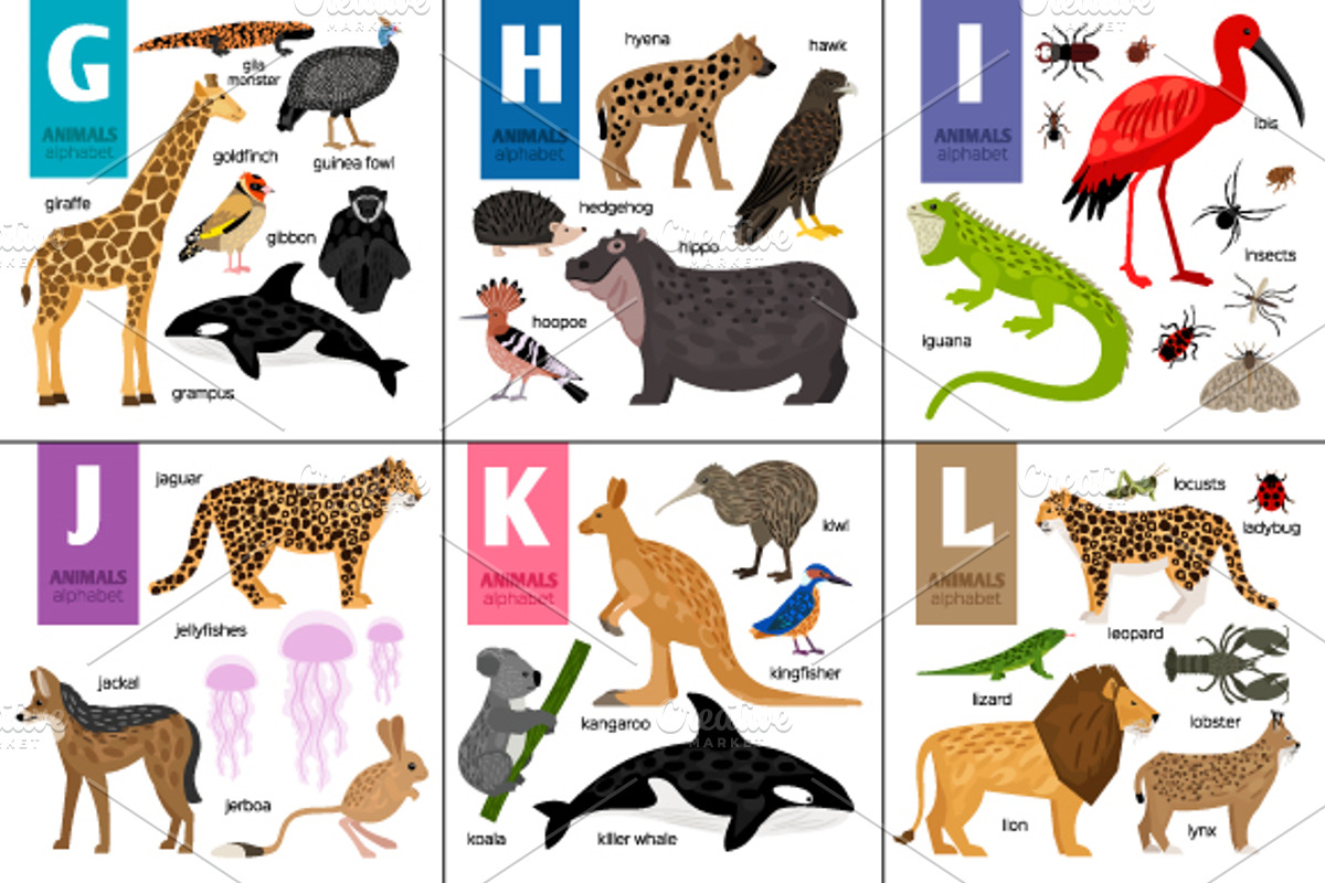 Alphabet with Animals, an Object Graphic by ianakauri (Photo 2 of 4)