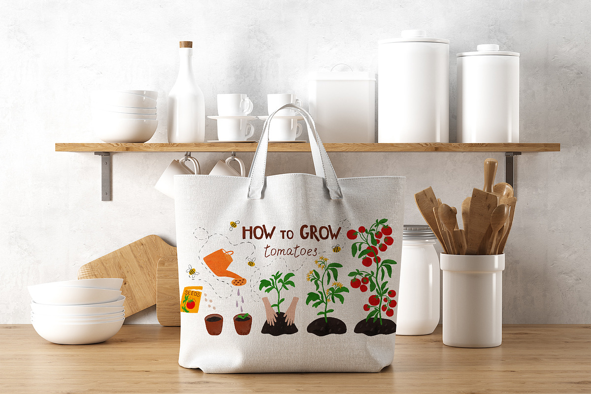 Tomatoes growing poster. Life cycle, an Education Illustration by Tani Kuzminka (Photo 3 of 3)