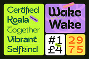 Klona Sans Serif, a Sans Serif Font by CCS Type (Thumbnail 10 of 17)