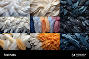 Feathers. 54 images, an Animal Illustration by Handmadefont (Thumbnail 4 of 12)
