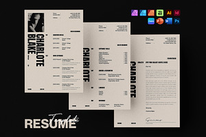 Professional CV, Resume Template, a Resume Template by DesignCrest