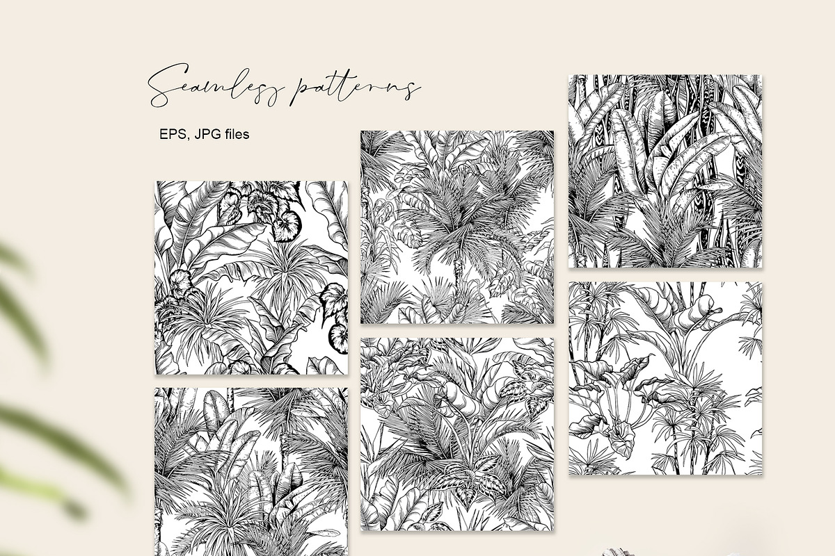 Tropical black& white plants, a Decorative Illustration by Jeanna Draw (Photo 7 of 19)