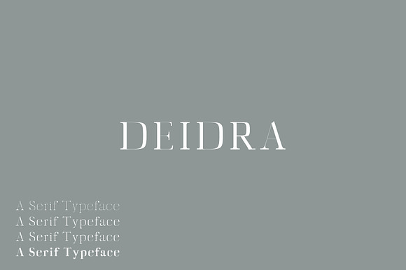 Deidra Serif Font Family Pack preview 8